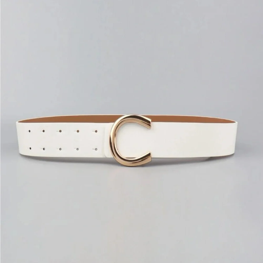 Luxe black high waist gold buckle belt